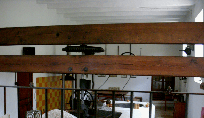 producción de aceite y aceitunas de Mallorca