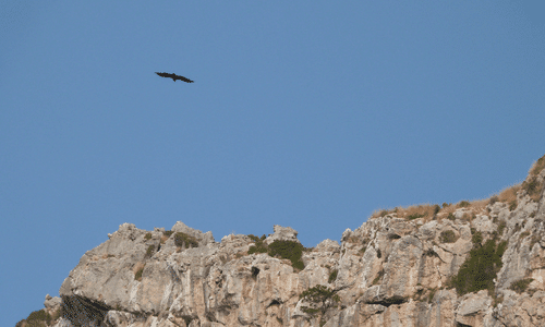 el puig major-Mallorca- Sierra de Tramuntana