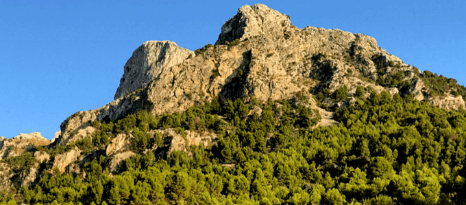 Paseo exclusivo por la sierra de Tramuntana Can Ribera